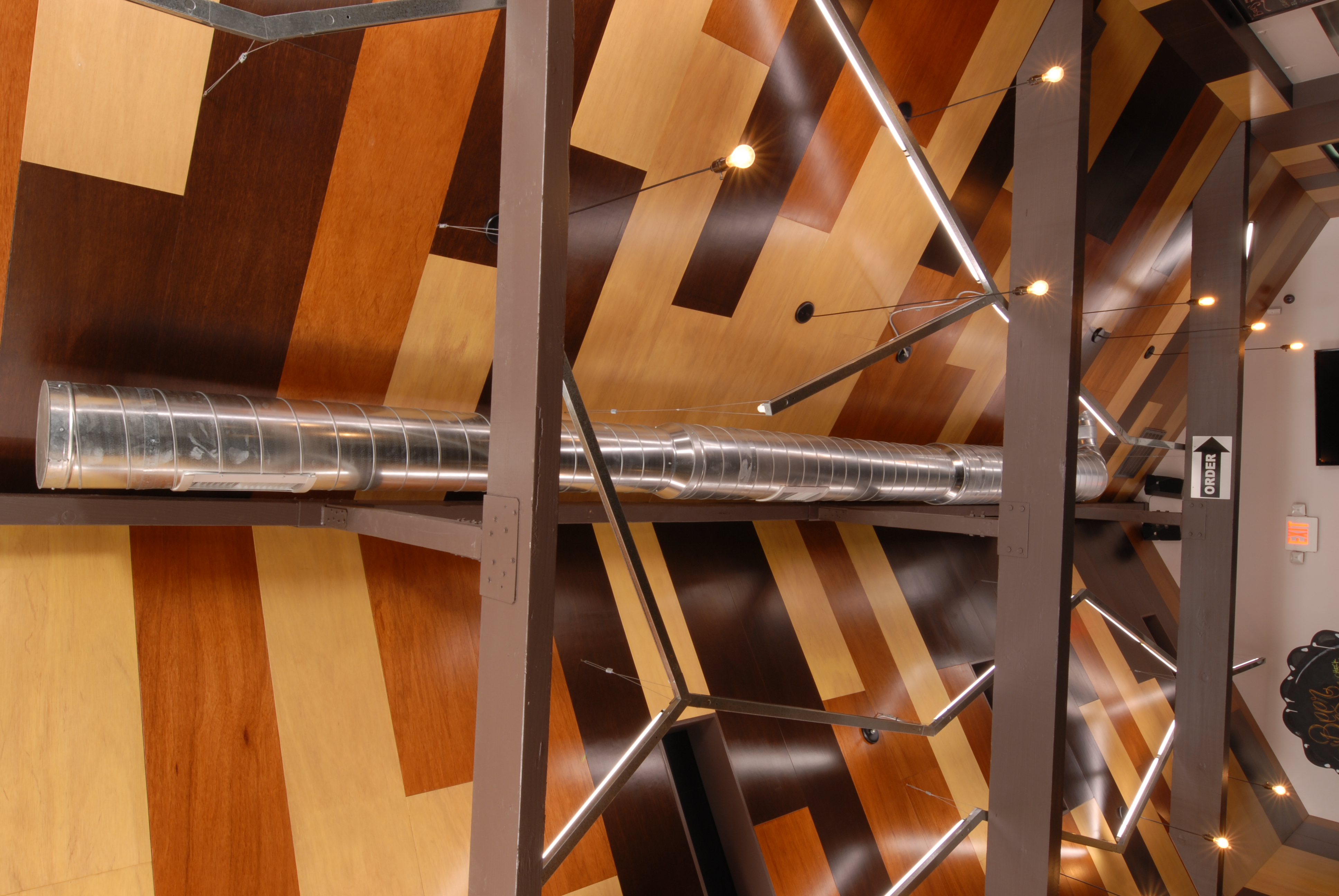 Beer Belly BowerBird