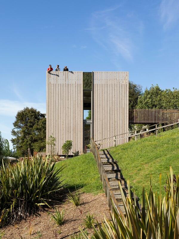 Picton House BowerBird